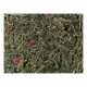 SENCHA JAPÁN CSERESZNYE 100G