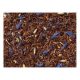 ROOIBOS ÁFONYA ORGANIC TEA 100G